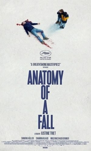 "Affiche du film 'Anatomy of a Fall' montrant des éléments clés du thriller judiciaire"